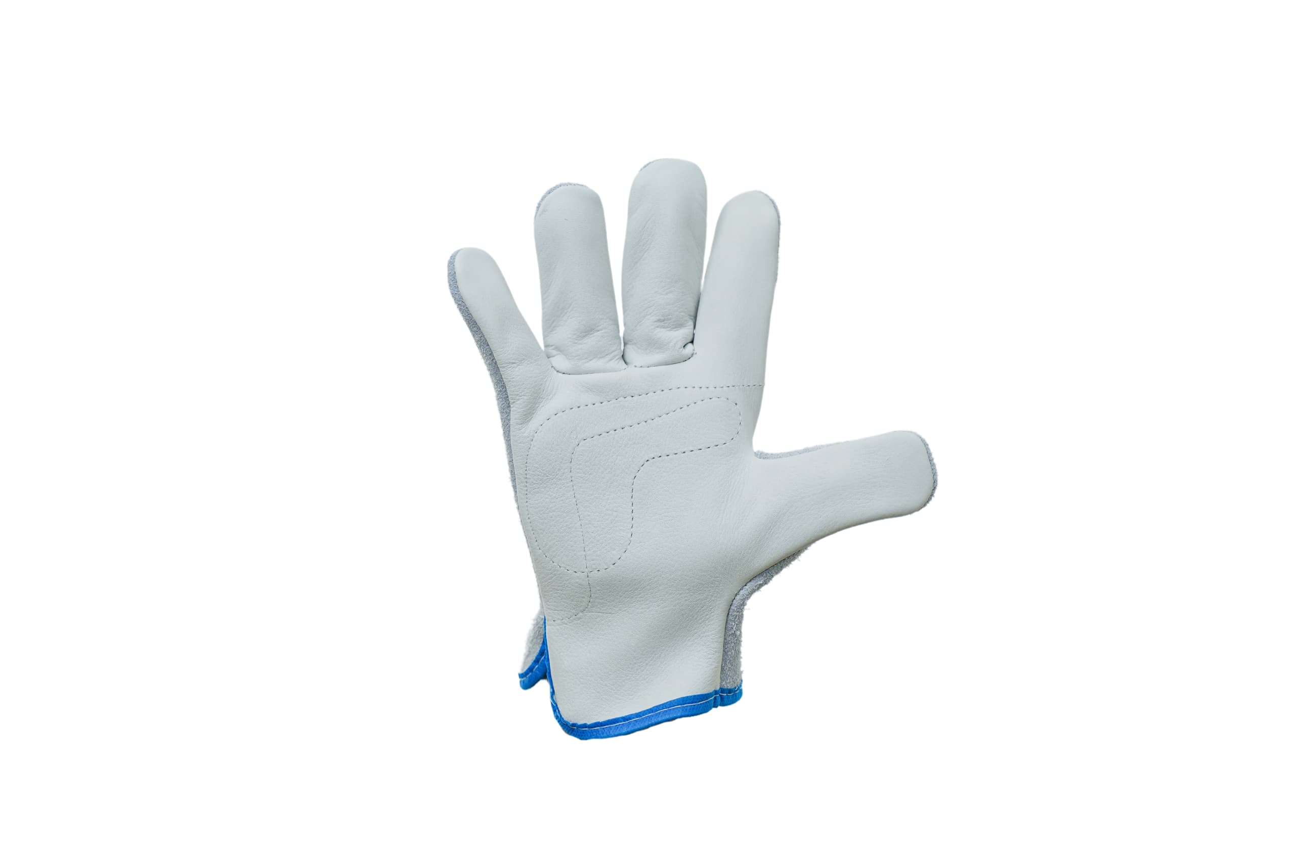 Mista-dorso-e-palma-1